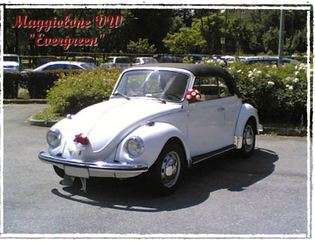 vw bianco